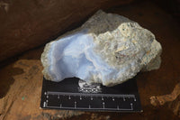 Natural Blue Lace Agate Geode Specimens  x 5 From Nsanje, Malawi - Toprock Gemstones and Minerals 