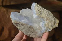 Natural Blue Lace Agate Geode Specimens  x 5 From Nsanje, Malawi - Toprock Gemstones and Minerals 
