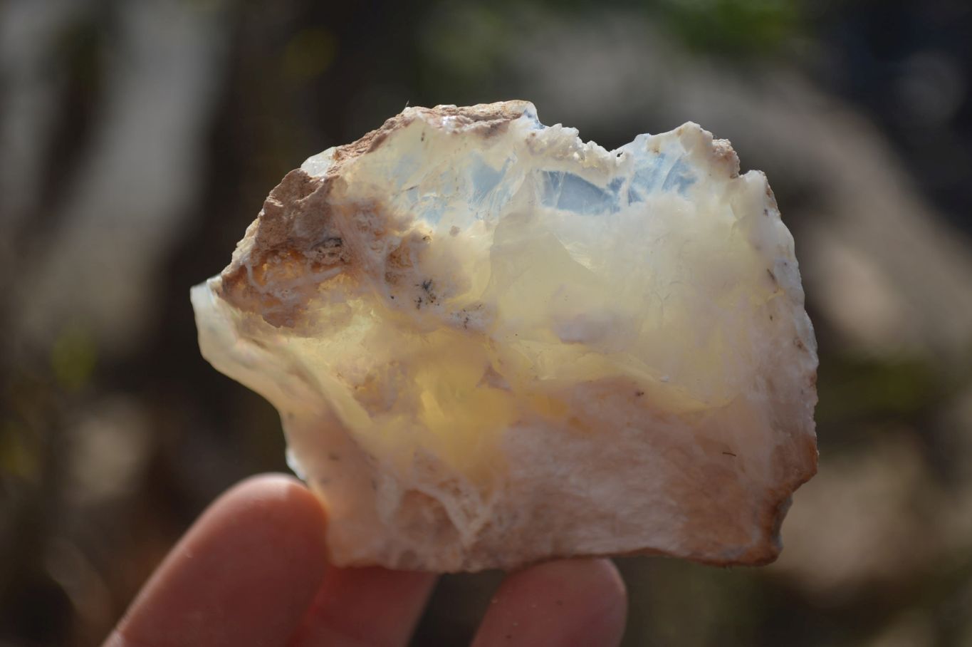 Natural Rough Dendritic White Opal Specimens  x 24 From Namibia - Toprock Gemstones and Minerals 