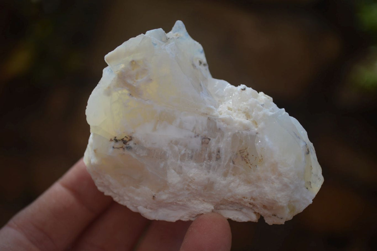 Natural Rough Dendritic White Opal Specimens  x 24 From Namibia - Toprock Gemstones and Minerals 