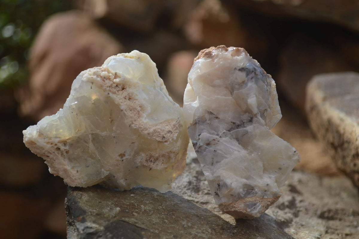 Natural Rough Dendritic White Opal Specimens  x 24 From Namibia - Toprock Gemstones and Minerals 