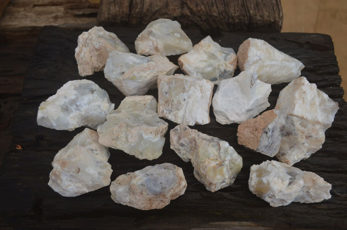 Natural Rough Dendritic White Opal Specimens  x 24 From Namibia - Toprock Gemstones and Minerals 