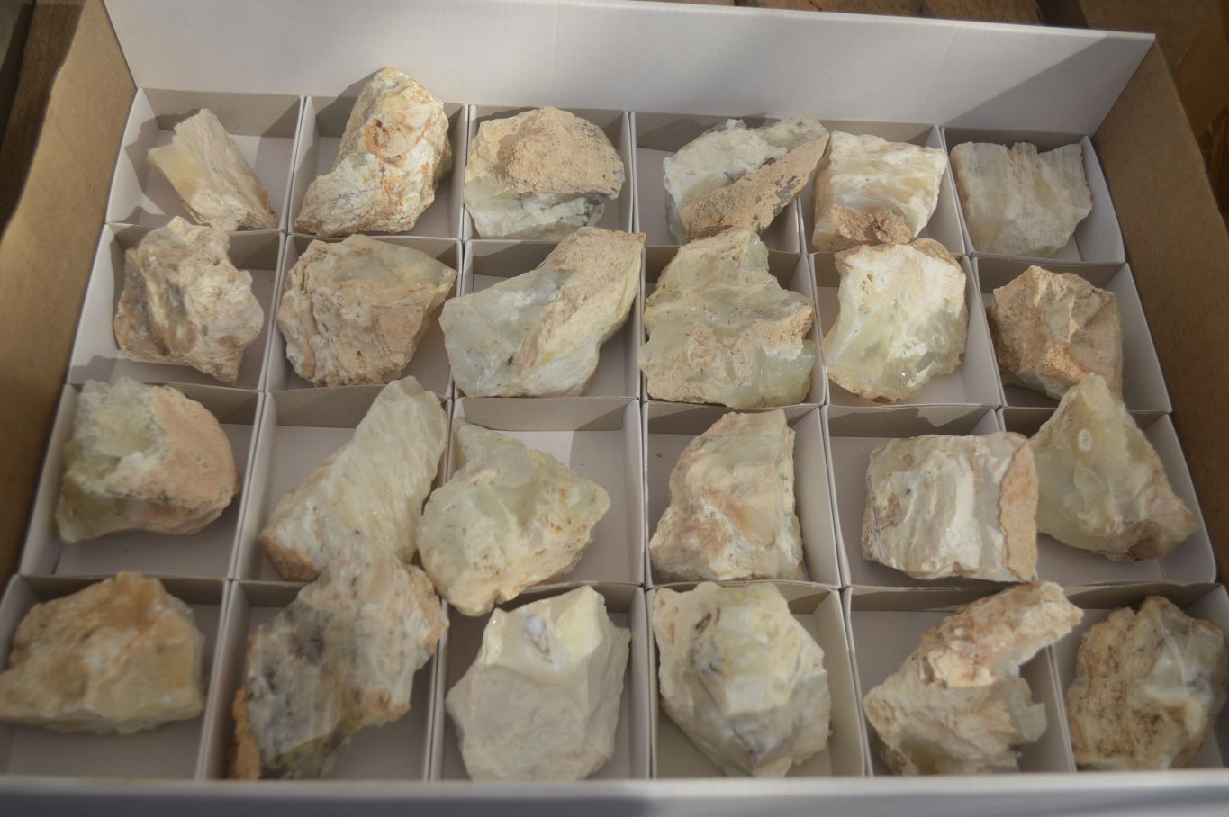 Natural Rough Dendritic White Opal Specimens  x 24 From Namibia - Toprock Gemstones and Minerals 