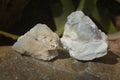 Natural Rough Dendritic White Opal Specimens  x 24 From Namibia - Toprock Gemstones and Minerals 