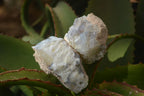 Natural Rough Dendritic White Opal Specimens  x 24 From Namibia - Toprock Gemstones and Minerals 