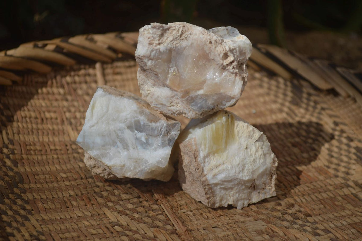 Natural Rough Dendritic White Opal Specimens  x 24 From Namibia - Toprock Gemstones and Minerals 