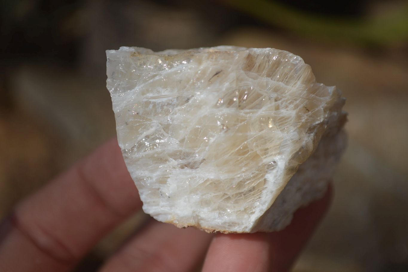 Natural Rough Dendritic White Opal Specimens  x 24 From Namibia - Toprock Gemstones and Minerals 