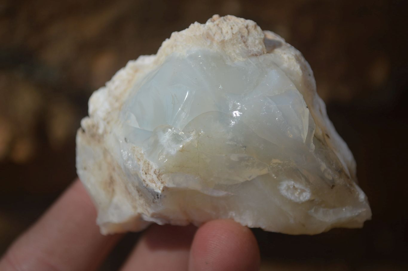 Natural Rough Dendritic White Opal Specimens  x 24 From Namibia - Toprock Gemstones and Minerals 