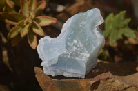 Natural Etched Blue Chalcedony Specimens  x 12 From Nsanje, Malawi - Toprock Gemstones and Minerals 