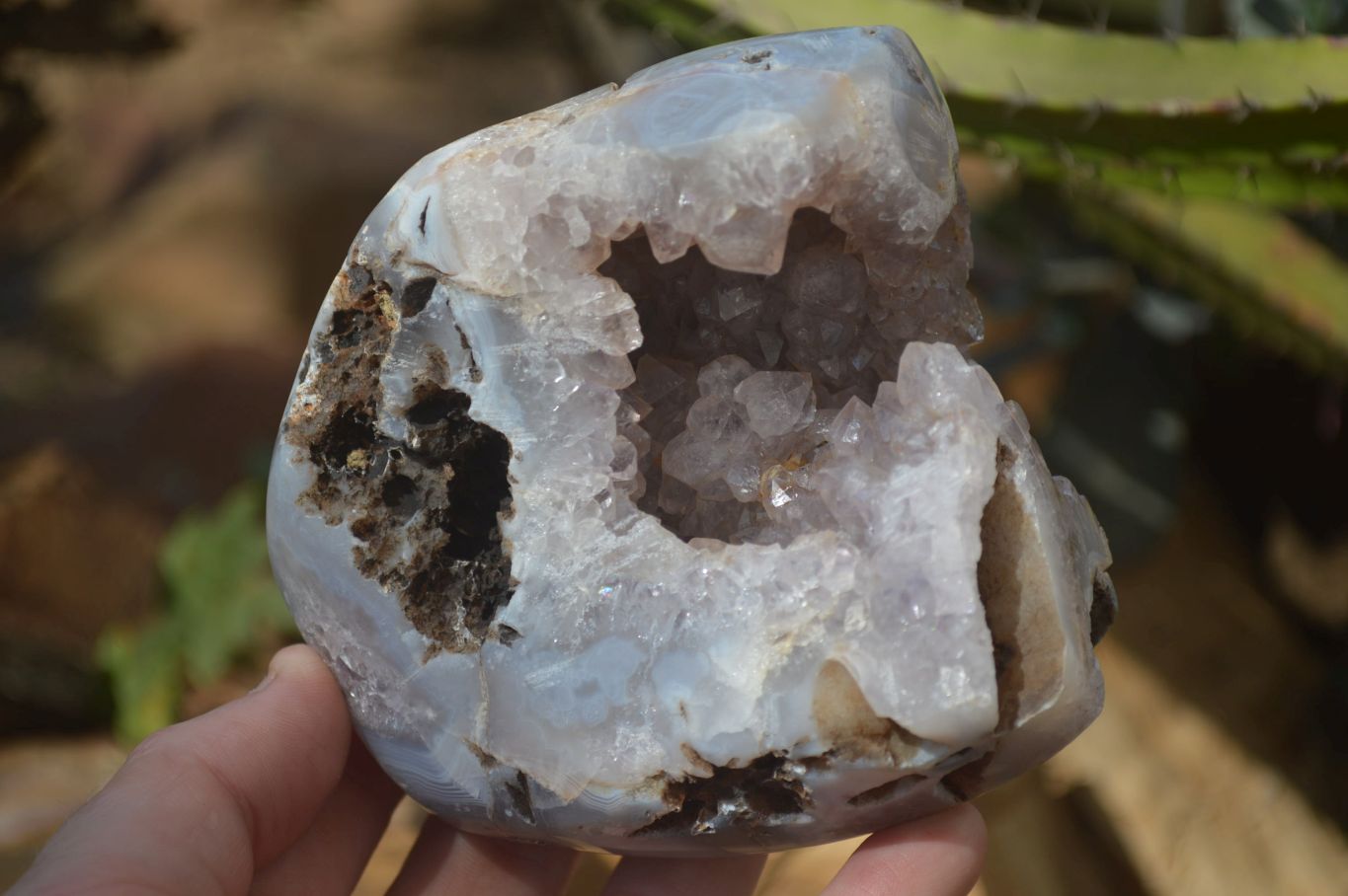 Polished Crystal Centred Agate Free Forms  x 2 From Madagascar - Toprock Gemstones and Minerals 