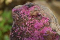 Natural Pink Salrose Cobaltion Dolomite Specimens x 4 From Kakanda, Congo - Toprock Gemstones and Minerals 