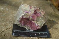 Natural Pink Salrose Cobaltion Dolomite Specimens x 4 From Kakanda, Congo - Toprock Gemstones and Minerals 