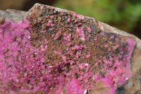 Natural Pink Salrose Cobaltion Dolomite Specimens x 4 From Kakanda, Congo - Toprock Gemstones and Minerals 