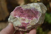 Natural Pink Salrose Cobaltion Dolomite Specimens x 4 From Kakanda, Congo - Toprock Gemstones and Minerals 