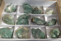 Natural Green Jade Cobbed Specimens x 12 From Swaziland