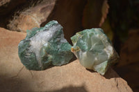 Natural Green Jade Cobbed Specimens x 12 From Swaziland