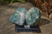 Natural Green Jade Cobbed Specimens x 12 From Swaziland