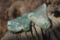 Natural Green Jade Cobbed Specimens x 12 From Swaziland