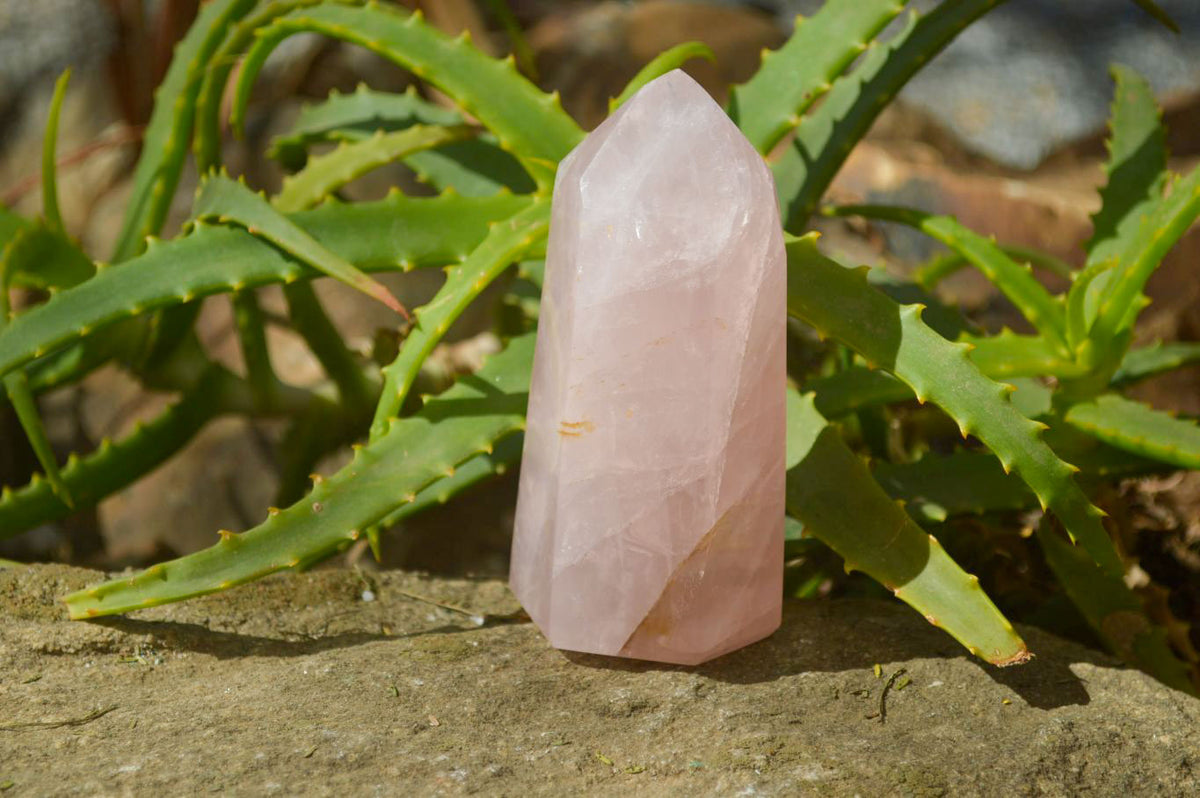 Polished Gemmy Rose Quartz Points x 4 From Madagascar - Toprock Gemstones and Minerals 