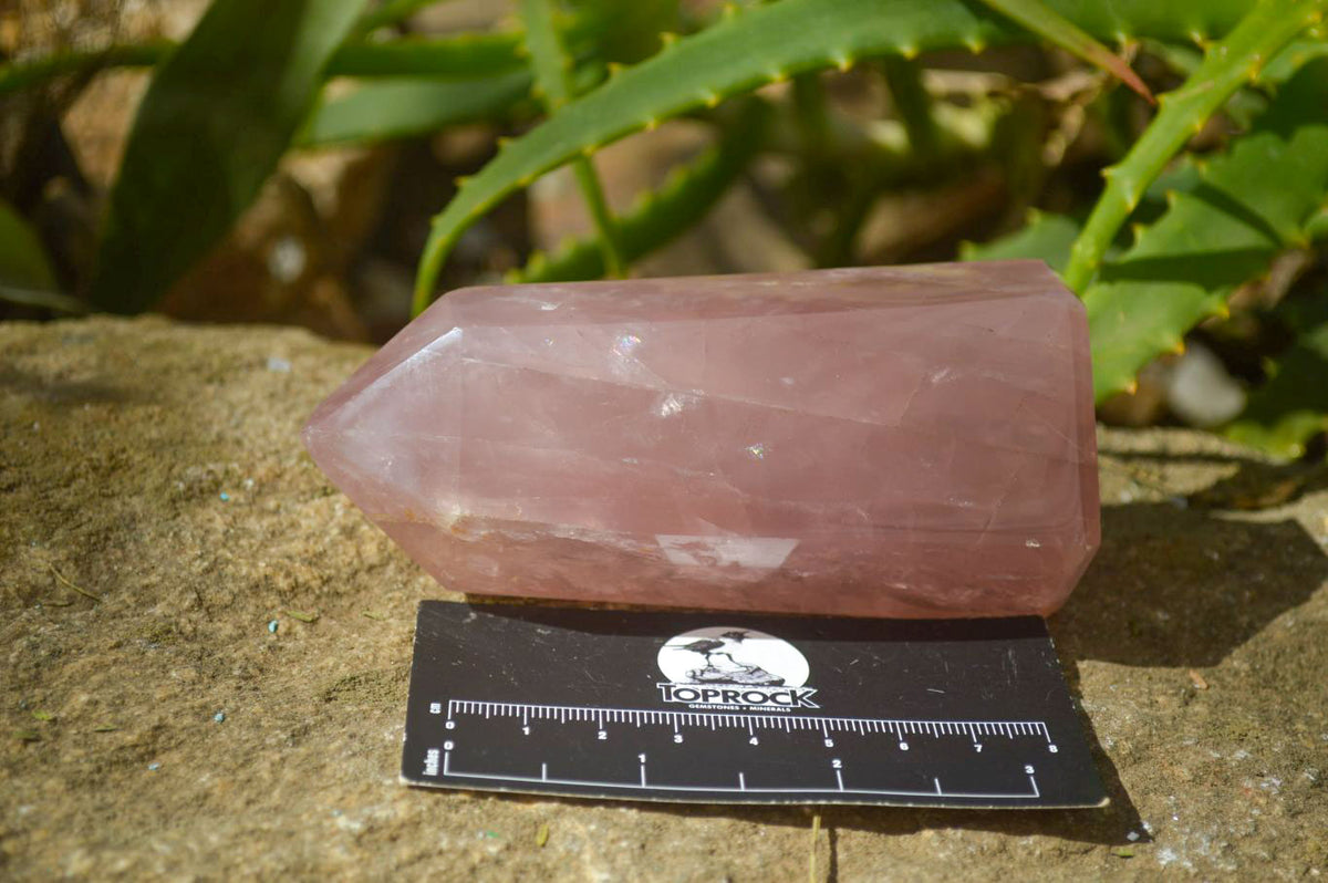 Polished Gemmy Rose Quartz Points x 4 From Madagascar - Toprock Gemstones and Minerals 