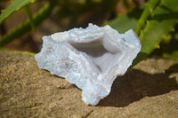 Natural Etched Blue Chalcedony Specimens  x 12 From Nsanje, Malawi - Toprock Gemstones and Minerals 