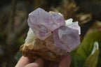 Natural Amethyst Clusters x 6 From Zambia - Toprock Gemstones and Minerals 