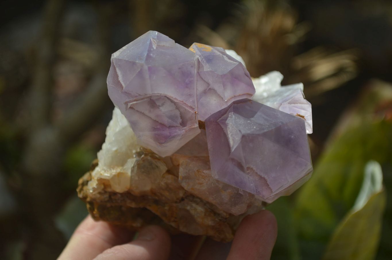Natural Amethyst Clusters x 6 From Zambia - Toprock Gemstones and Minerals 