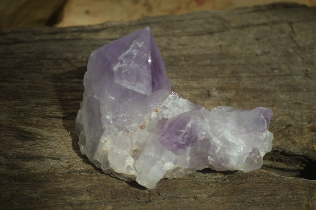 Natural Amethyst Clusters x 6 From Zambia - Toprock Gemstones and Minerals 