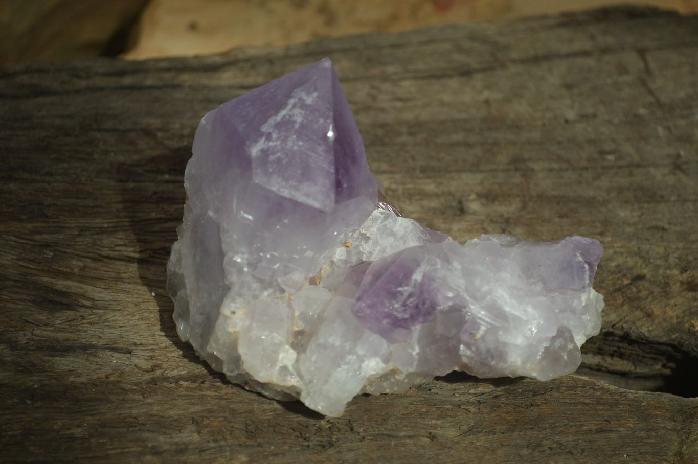 Natural Amethyst Clusters x 6 From Zambia - Toprock Gemstones and Minerals 