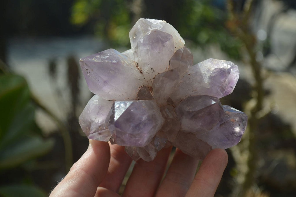 Natural Amethyst Clusters x 6 From Zambia - Toprock Gemstones and Minerals 