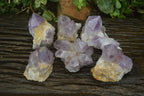 Natural Amethyst Clusters x 6 From Zambia - Toprock Gemstones and Minerals 