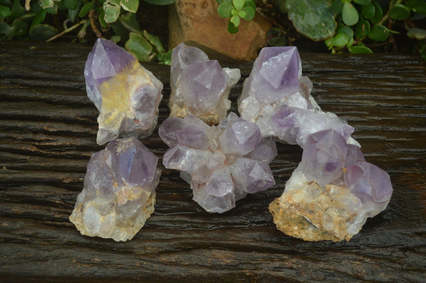 Natural Amethyst Clusters x 6 From Zambia - Toprock Gemstones and Minerals 