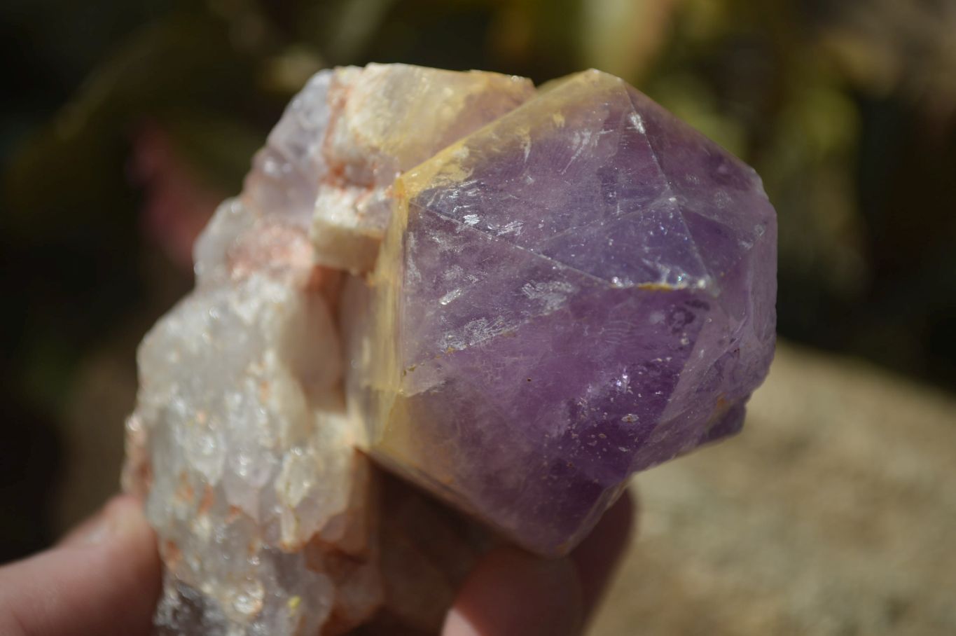Natural Amethyst Clusters x 6 From Zambia - Toprock Gemstones and Minerals 