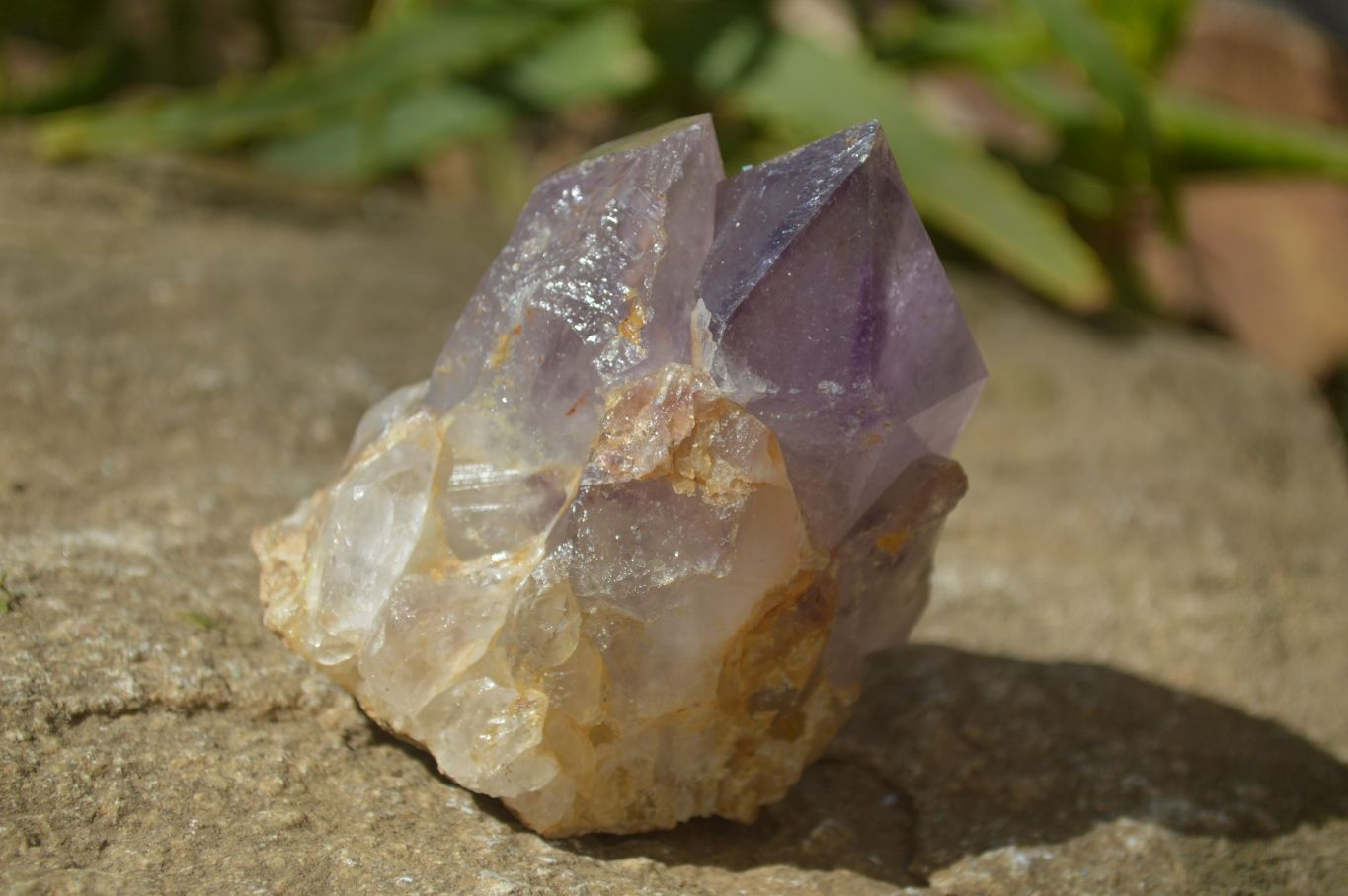 Natural Amethyst Clusters x 6 From Zambia - Toprock Gemstones and Minerals 
