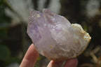 Natural Amethyst Clusters x 6 From Zambia - Toprock Gemstones and Minerals 