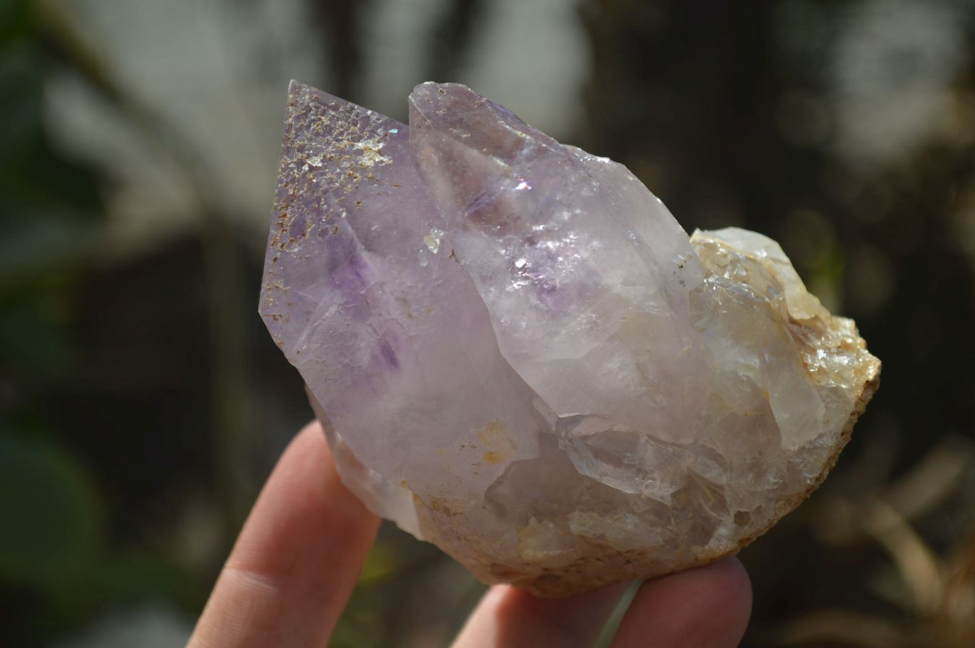Natural Amethyst Clusters x 6 From Zambia - Toprock Gemstones and Minerals 