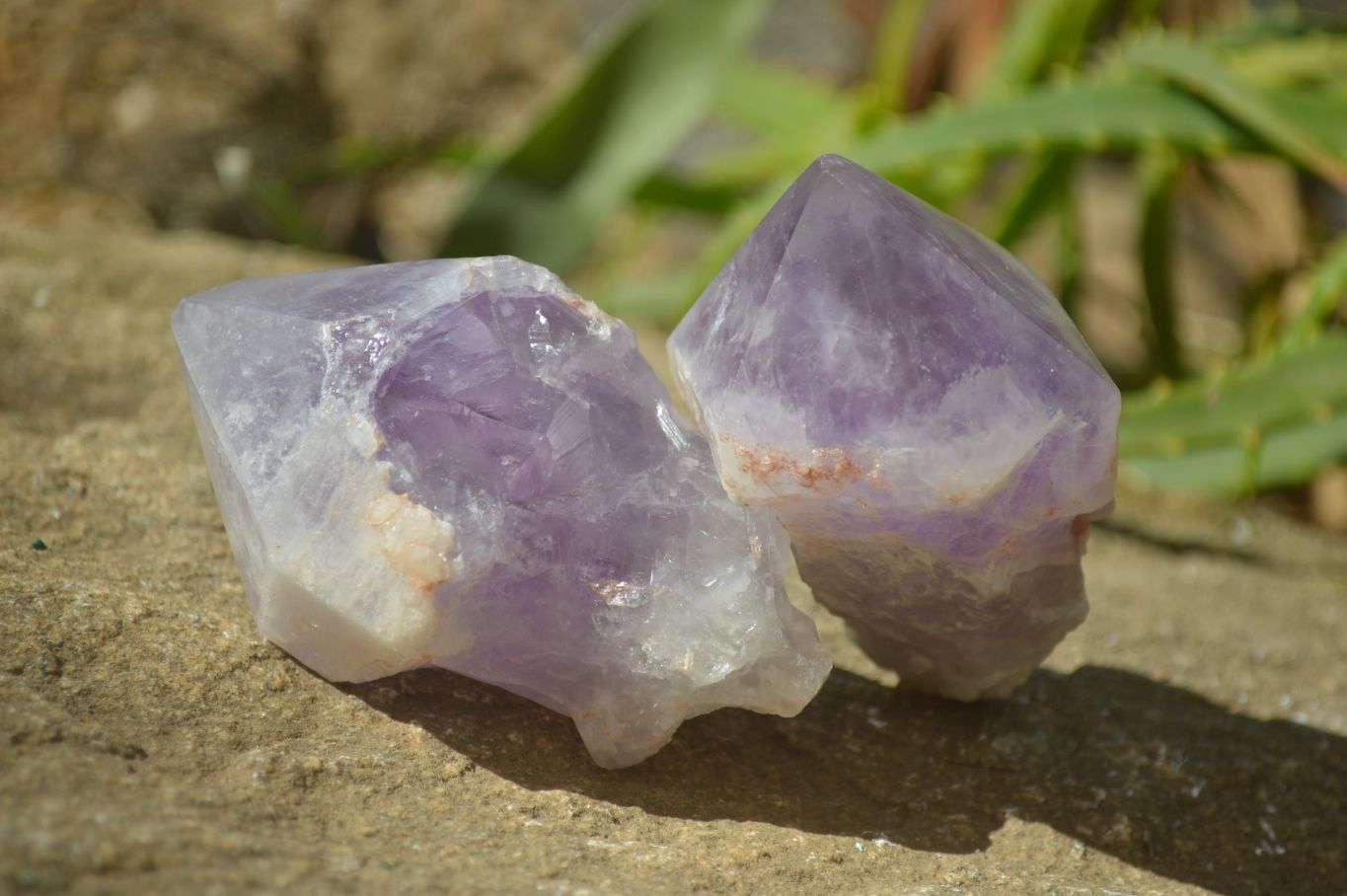 Polished Jacaranda Amethyst Crystals x 6 From Mumbwe, Zambia - Toprock Gemstones and Minerals 
