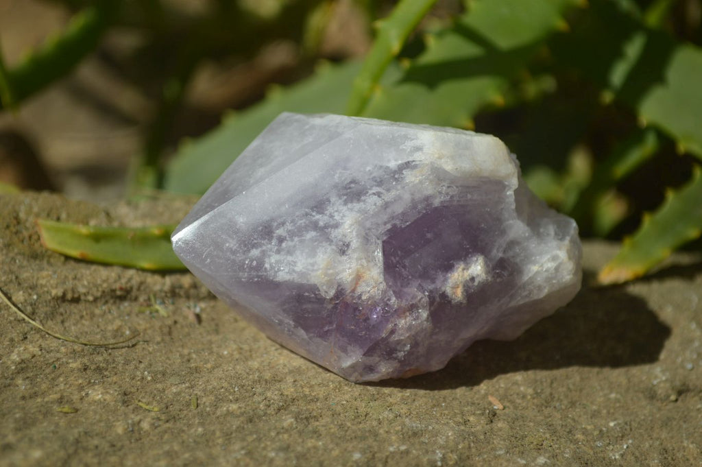 Polished Jacaranda Amethyst Crystals x 6 From Mumbwe, Zambia - Toprock Gemstones and Minerals 