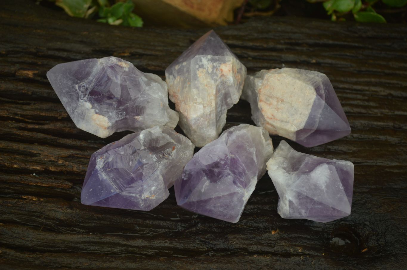 Polished Jacaranda Amethyst Crystals x 6 From Mumbwe, Zambia - Toprock Gemstones and Minerals 