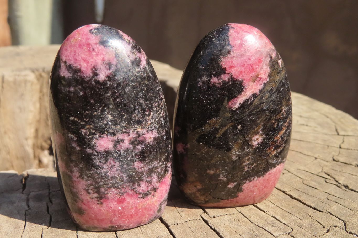 Polished Rhodonite Standing Free Forms x 6 From Ambindavato, Madagascar - Toprock Gemstones and Minerals 