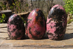 Polished Rhodonite Standing Free Forms x 6 From Ambindavato, Madagascar - Toprock Gemstones and Minerals 