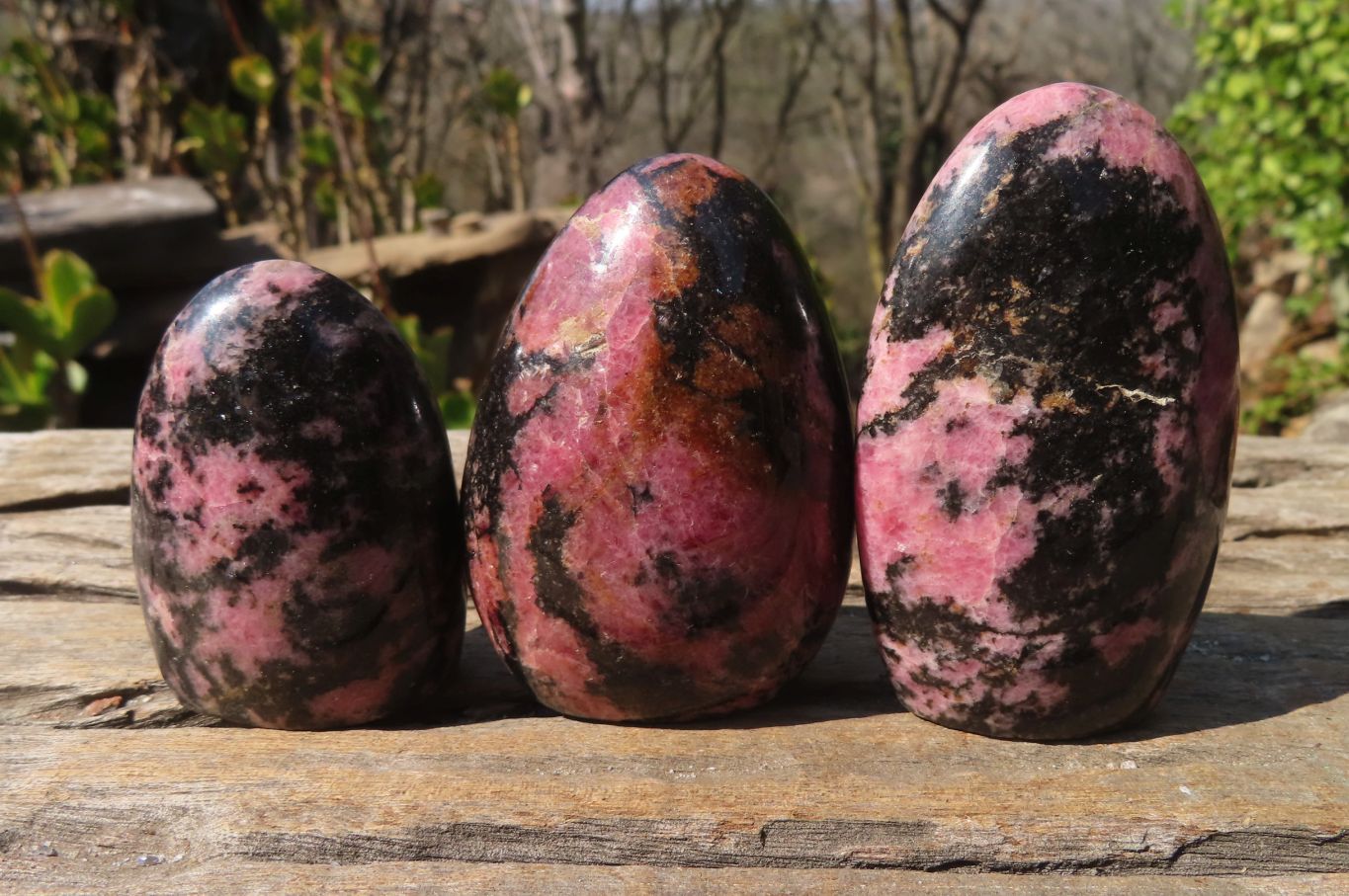 Polished Rhodonite Standing Free Forms x 6 From Ambindavato, Madagascar - Toprock Gemstones and Minerals 