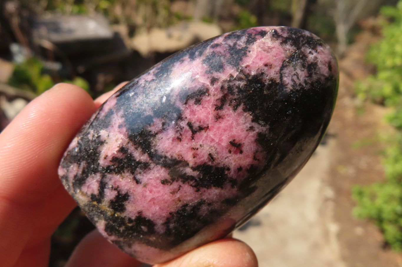Polished Rhodonite Standing Free Forms x 6 From Ambindavato, Madagascar - Toprock Gemstones and Minerals 
