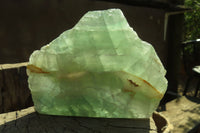 Polished One Side Polished Watermelon Fluorite Pieces  x 3 From Uis, Namibia - Toprock Gemstones and Minerals 