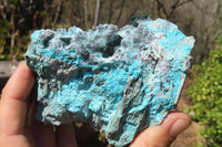 Natural Drusy Chrysocolla Dolomite Specimens x 4 From Likasi, Congo - Toprock Gemstones and Minerals 