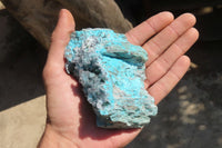 Natural Drusy Chrysocolla Dolomite Specimens x 4 From Likasi, Congo - Toprock Gemstones and Minerals 