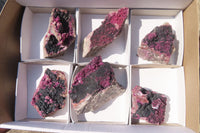 Natural Pink Salrose Cobaltion Dolomite Specimens x 6 From Kakanda, Congo - Toprock Gemstones and Minerals 