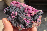 Natural Pink Salrose Cobaltion Dolomite Specimens x 6 From Kakanda, Congo - Toprock Gemstones and Minerals 