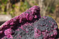 Natural Pink Salrose Cobaltion Dolomite Specimens x 6 From Kakanda, Congo - Toprock Gemstones and Minerals 