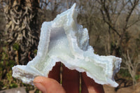 Natural Etched Blue Chalcedony Specimens  x 6 From Nsanje, Malawi - Toprock Gemstones and Minerals 